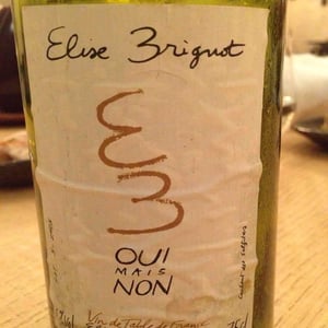 Oui Mais Non - Elise Brignot - elise-brignot