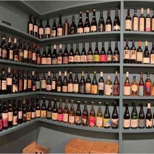 Our Wines 1. - MOSTO - 550130