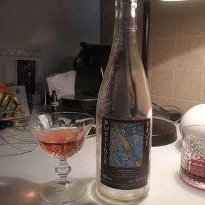 Outsider Brut Rosé - Domaine Le Clocher - Les Vins de Sainte Anne - brendan-sean-tracey