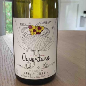 Ouverture - Aligoté Macération - Domaine Arnaud Chapuis - Arnaud Chapuis 