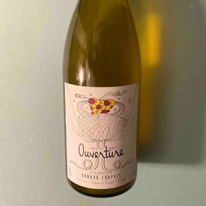 Ouverture - Aligoté Macération - Domaine Arnaud Chapuis - arnaud-chapuis