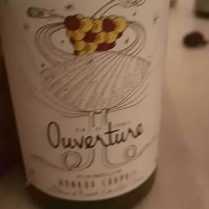 Ouverture - Aligoté Pet Nat - Domaine Arnaud Chapuis - arnaud-chapuis