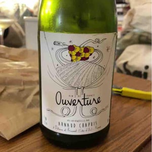 Ouverture - Aligoté Pet Nat - Domaine Arnaud Chapuis - Arnaud Chapuis 