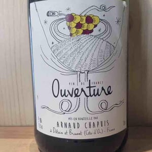 Ouverture - Aligoté Pet Nat - Domaine Arnaud Chapuis - Arnaud Chapuis 