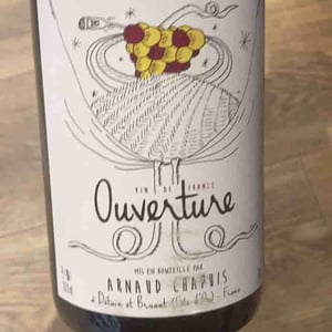 Ouverture - Pinot Noir - Domaine Arnaud Chapuis - Arnaud Chapuis 
