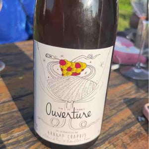 Ouverture - Pinot Noir - Domaine Arnaud Chapuis - Arnaud Chapuis 