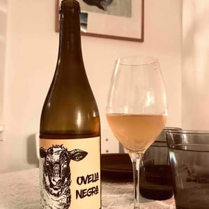 Ovella Negra - Ramon Jané Viticultor - ramon-jane