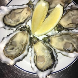 Oysters - Every Thursday - Gamper Bar - 525803