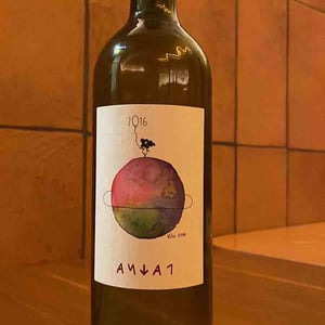 Pachna - Azienda Agricola Pācina - giovanna-tiezzi-stefano-borsa-maria-borsa-carlo-borsa-roberto-maccari-elisa
