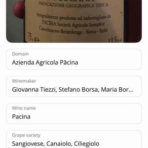 Pacina - Azienda Agricola Pācina - Giovanna Tiezzi, Stefano Borsa, Maria Borsa, Carlo Borsa, Roberto Maccari, Elisabeth Racine 