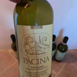 Azienda Agricola Pācina - Giovanna Tiezzi, Stefano Borsa, Maria Borsa, Carlo Borsa, Roberto Maccari, Elisabeth Racine - Pacina