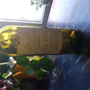 Azienda Agricola Pācina - Giovanna Tiezzi, Stefano Borsa, Maria Borsa, Carlo Borsa, Roberto Maccari, Elisabeth Racine - Pacina