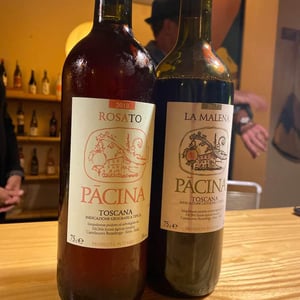 Pacina - Azienda Agricola Pācina - giovanna-tiezzi-stefano-borsa-maria-borsa-carlo-borsa-roberto-maccari-elisa