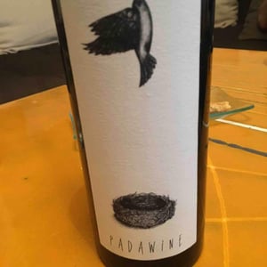 L'Ambitio - Romuald Cousy - Padawine
