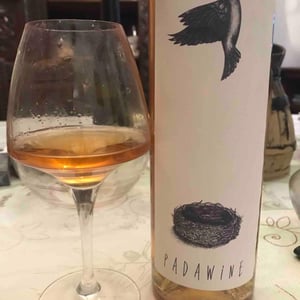 Padawine - L'Ambitio - Romuald Cousy 
