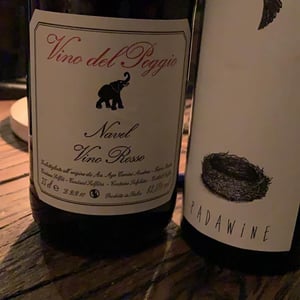 Padawine - L'Ambitio - romuald-cousy