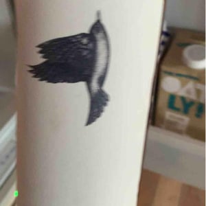 Padawine Macération (X Vincent Alexis) - L'Ambitio - Romuald Cousy 