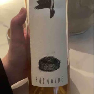 Padawine Macération (X Vincent Alexis) - L'Ambitio - romuald-cousy