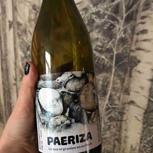 Viños Patio - Samuel Cano - Paeriza