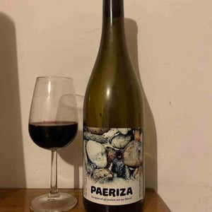 Paeriza - Viños Patio - Samuel Cano 