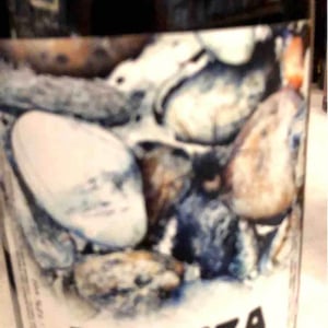 Paeriza - Viños Patio - samuel-cano