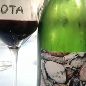 Paeriza - Viños Patio - Samuel Cano 