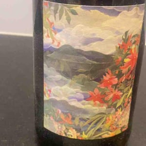 Pagaille 2023 - Château Lestignac - Camille & Mathias Marquet -2023