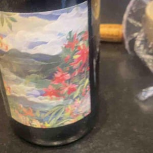 Pagaille 2023 - Château Lestignac - Camille & Mathias Marquet -2023