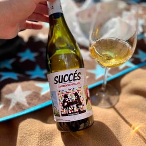 Experiéncia Parellada - Celler Succés Vinícola - Mariona Vendrell & Albert Canela 