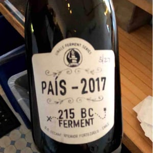 Pais 215 BC Ferment - Chile - garage-wine-co