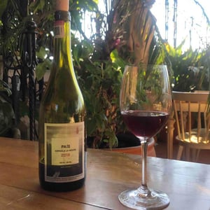 Tinto País - Agricola La Mision - elena-pantaleoni-nicola-massa -2019