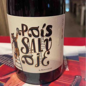 País Salvage - Bouchon Family Wined - felipe-ramirez
