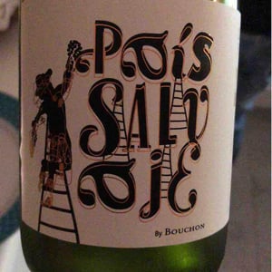 País Salvage - Bouchon Family Wined - felipe-ramirez