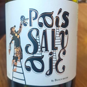 País Salvaje Blanco - Bouchon Family Wined - felipe-ramirez -2020