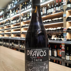 PAIS VOLCANICO - A Los Viñateros Bravos / Onda Brava - leonardo-erazo