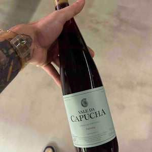 Palhete - Vale da Capucha - pedro-marques