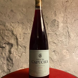 Palhete - Vale da Capucha - pedro-marques