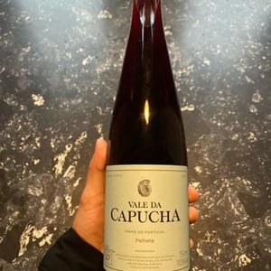 Palhete - Vale da Capucha - pedro-marques -2019