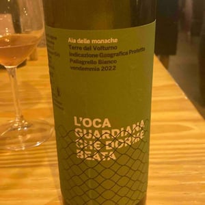 L’oca Guardiana Che Dorme Beata - Aia delle Monache - Vittorio & Michele Verzillo 