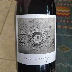Palli & Genesià - Sous Le Vegetal - patrick-bouju-jason-ligas