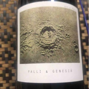 Palli & Genesià - Sous Le Vegetal - patrick-bouju-jason-ligas