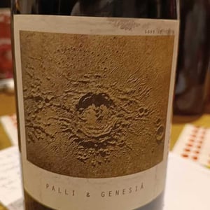 Palli & Genesià - Sous Le Vegetal - Patrick Bouju & Jason Ligas 
