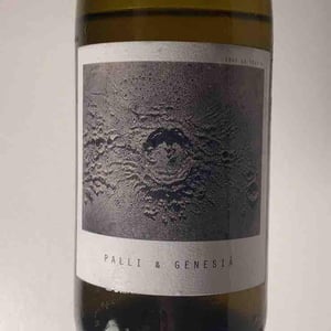 Palli & Genesià - Sous Le Vegetal - patrick-bouju-jason-ligas