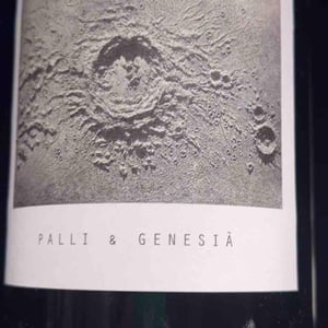 Palli & Genesià - Sous Le Vegetal - Patrick Bouju & Jason Ligas 