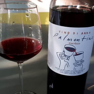 Vino di Anna - Anna Martens & Eric Narioo - Palmentino