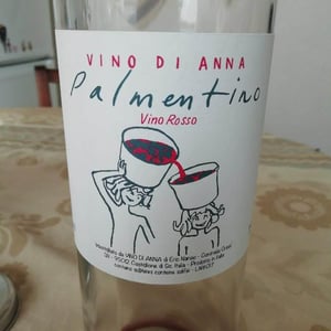 Palmentino - Vino di Anna - anna-martens-eric-narioo