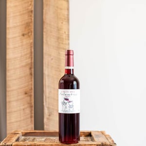 Palmentino - Vino di Anna - anna-martens-eric-narioo