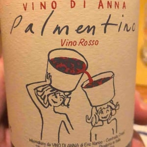 Palmentino - Vino di Anna - Anna Martens & Eric Narioo 