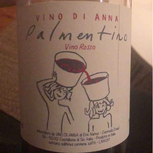 Palmentino - Vino di Anna - Anna Martens & Eric Narioo 