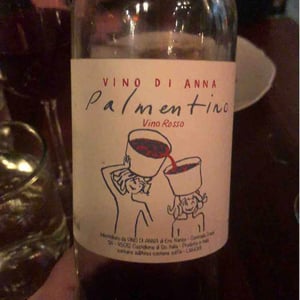Palmentino - Vino di Anna - anna-martens-eric-narioo